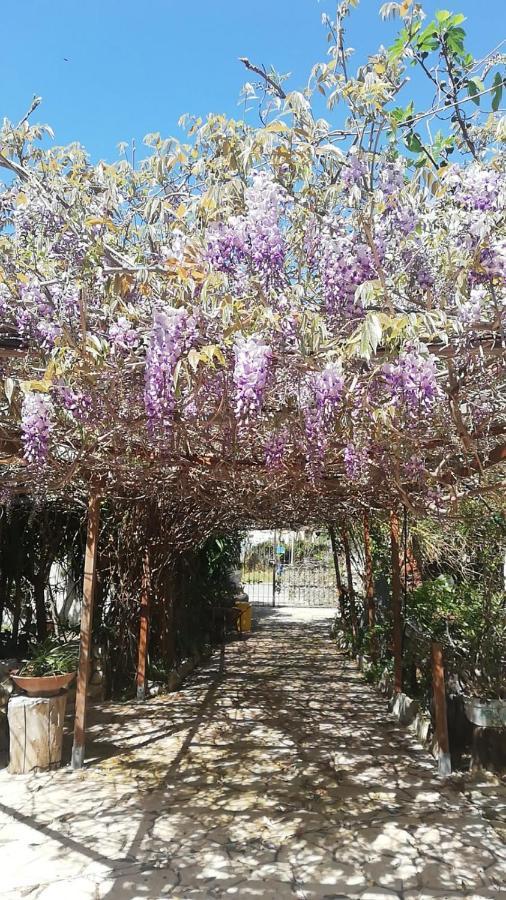 Villa Murgia سولاناس المظهر الخارجي الصورة